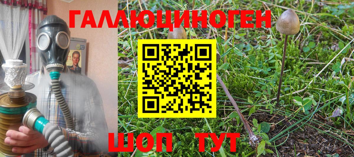 Приморско-Ахтарск  Псилоцибиновые грибы ЛСД  Вход с VPN 