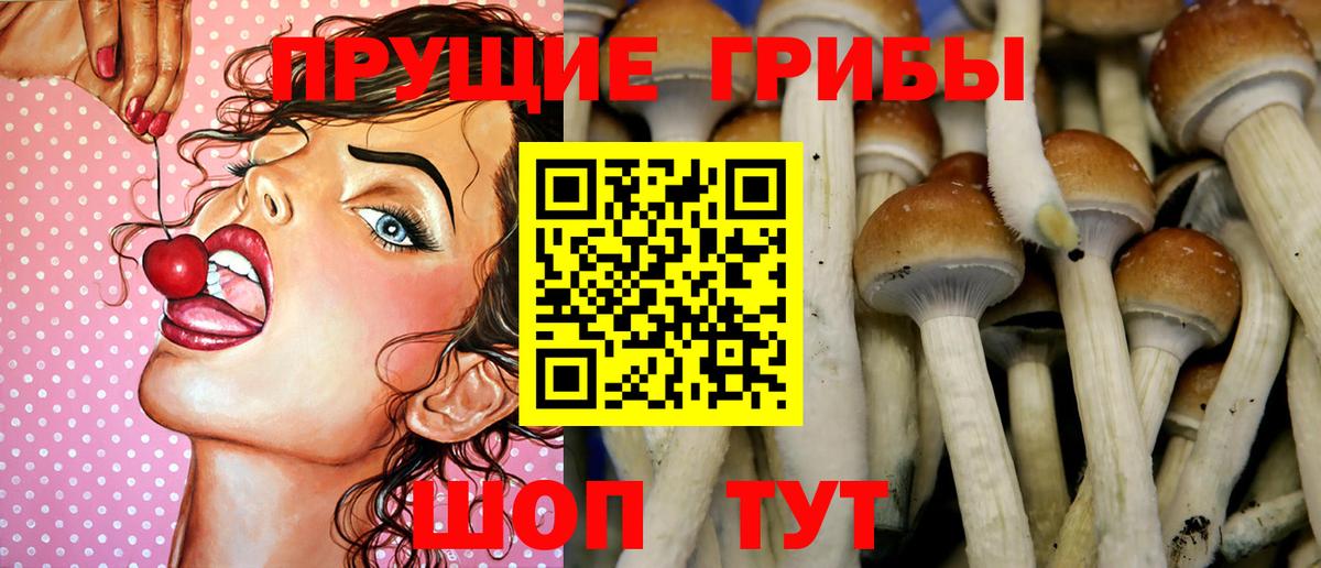 Галлюциногенные грибы ЛСД Приморско-Ахтарск
